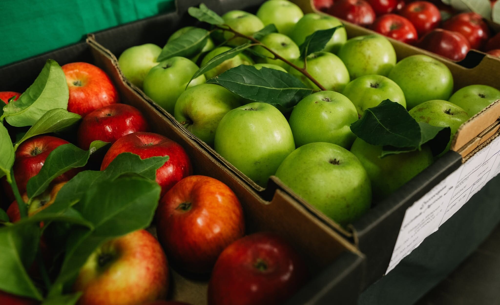 Caldas da Rainha Fruit Fair (26–30 August 2026)
